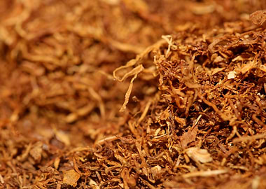 Rolling tobacco background