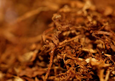 Rolling tobacco background