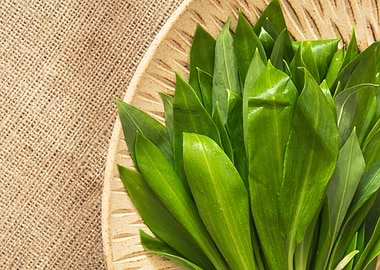 Bear onion or garlic