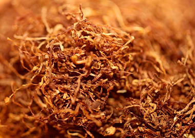 Rolling tobacco leaves