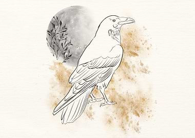 Raven and Moonlight 1 of 3