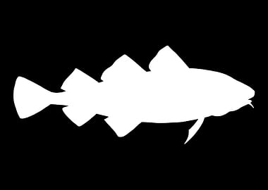 Cod Fish