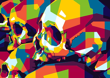 Colorful Skulls Head