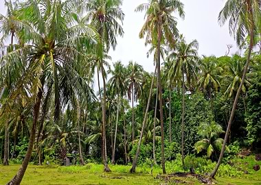 long tree green flower