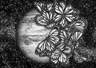 Jupiters Butterflies