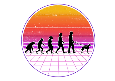 Italian Greyhound Evolutio