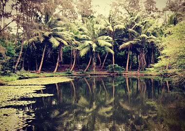 other tree water green