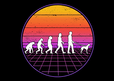 Italian Greyhound Evolutio