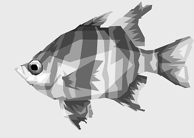 decorative fish grayscale