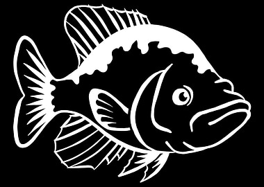 Crappie