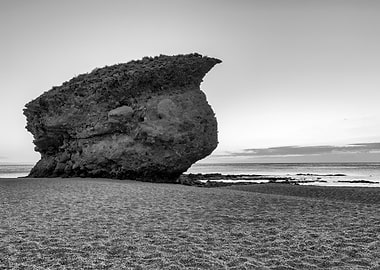 Black and white coast