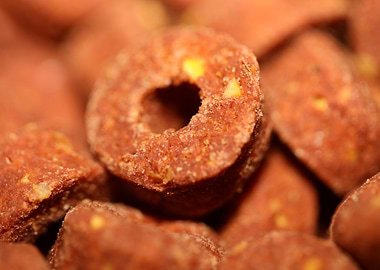 Dog croquette dry food