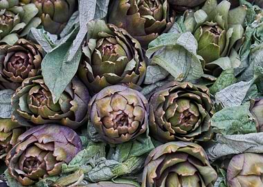 artichokes at market