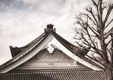 Japanese Roof
