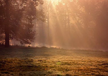 Autumn foggy sunrise, park