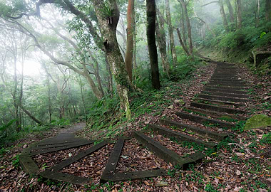 Love around the corner