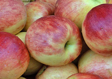 Fresh apples