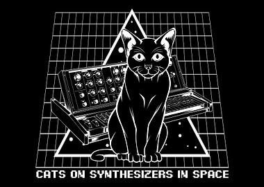 Synthesizers Cat Musician