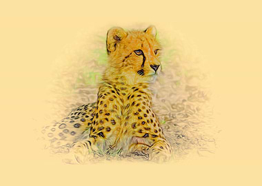 Cheetah