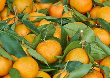 ripe tangerine