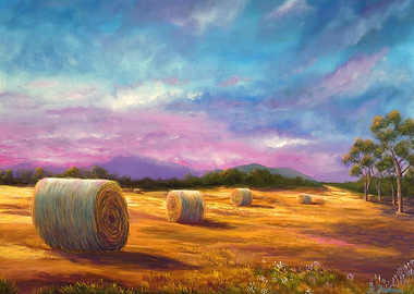 Hay bales near Leongatha