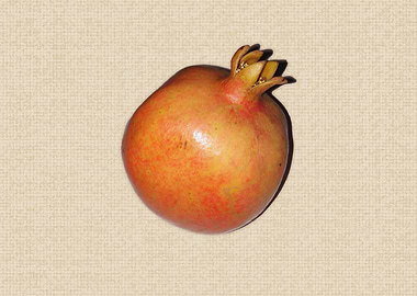 Pomegranate