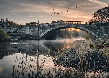 The Calmness of Ireland