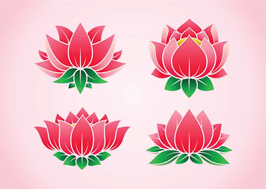 Lotus flower