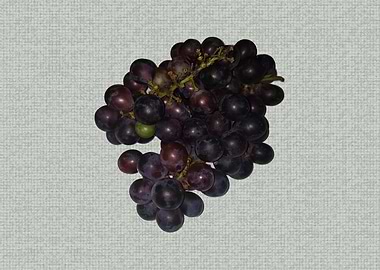 Grapes