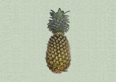 Pineapple