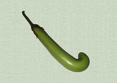 Brinjal