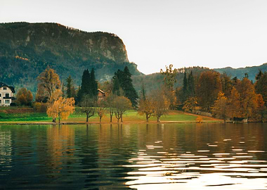 Beautifull Landscape