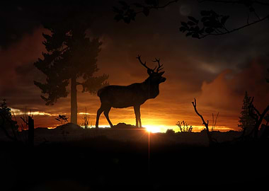 Deer at Dawn