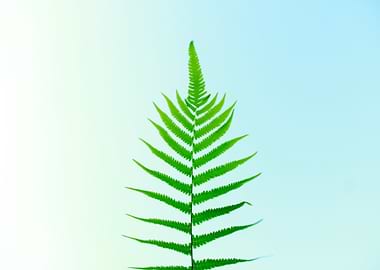 green flower blue white