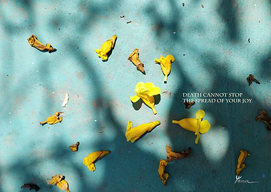 Death can not halt my joy