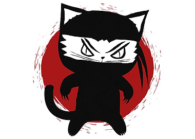 Ninja Cat