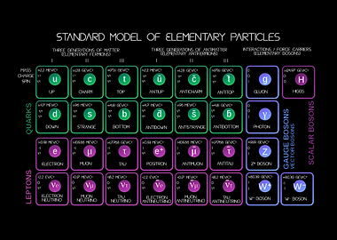 The Standard Model