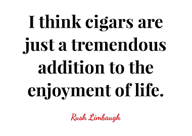 Rush Limbaugh Quote