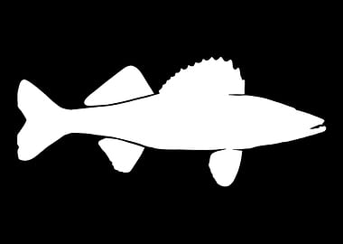 Walleye