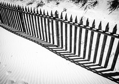 Shadows on the Beach