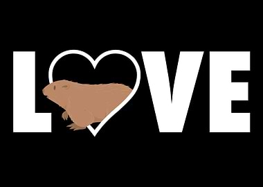 Marmot Love Marmot Animal