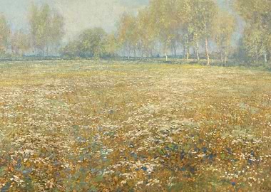Meadow in Bloom
