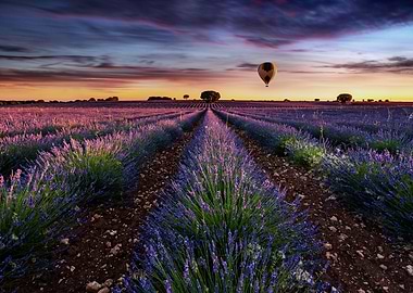 Flying without wings