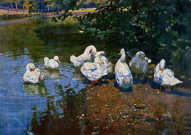 Ducks by a Pond