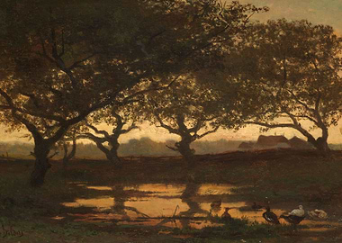 Woodland Pond at Sunset