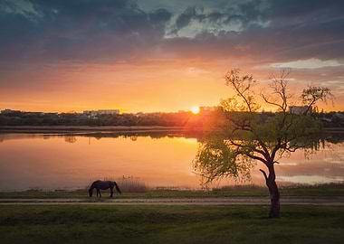 Idyllic rural landscape