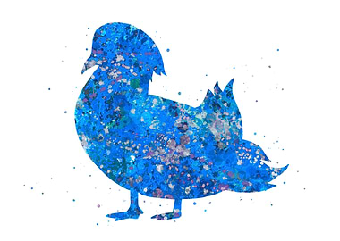 Mandarin duck blue art