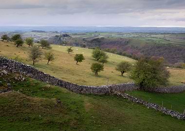The green fields of Carmar