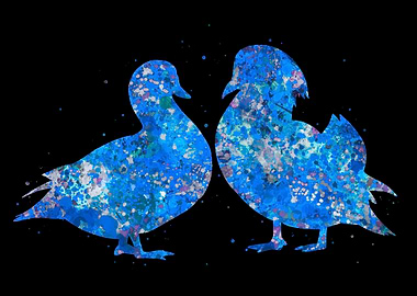 Duck mandarin love