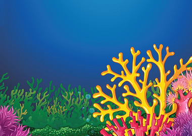 Sea coral reef